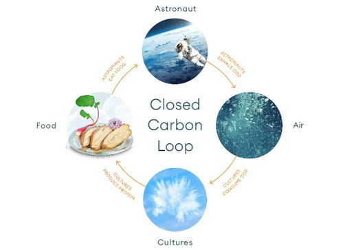 空氣造肉 生物技術顛覆食品科技，人類飲食革命或將開啟